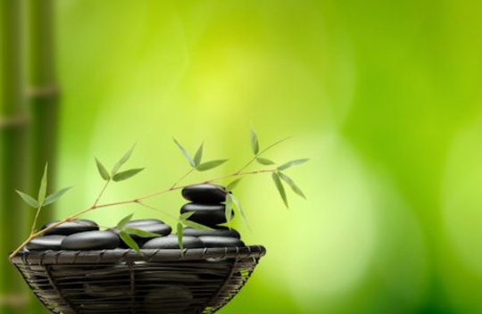 Using Feng Shui to EnhanceThe Harmony and Vitality of Your Home Using Feng Shui to EnhanceThe Harmony and Vitality of Your Home
