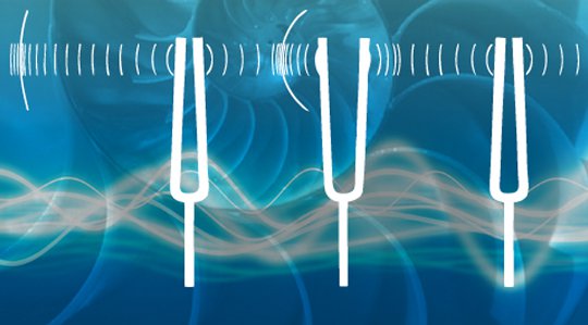 How Sound Balancing Came to Be: My Journey of Discovering the Biofield How Sound Balancing Came to Be: My Journey of Discovering the Biofield