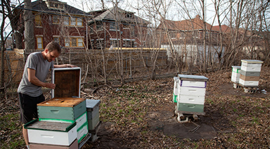 urban farming2 5 21