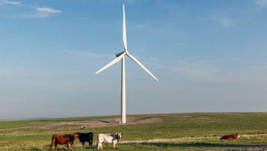 How Iowa Became the Nation’s Leader in Wind Energy How Iowa Became the Nation’s Leader in Wind Energy