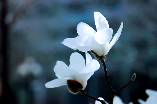 Inner Peace: Do You Already Have It and Didn't Notice? Inner Peace: Do You Already Have It and Didn't Notice?