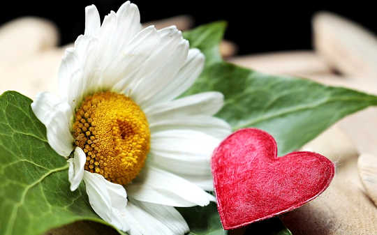 Honoring Your Sacred Space: Soul and the Heart Center