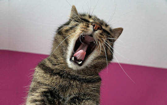 When You Are Really Angry... When You Are Really Angry...