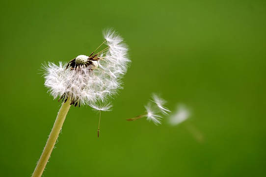 Living Impeccably: This Present Moment Is Our Gift To The Universal Self Living Impeccably: This Present Moment Is Our Gift To The Universal Self