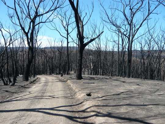 Living With Fire And Facing Our Fears Living With Fire And Facing Our Fears