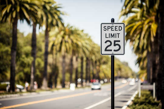 Why There’s A Recovery Speed Limit After Mass Extinction Why There’s A Recovery Speed Limit After Mass Extinction