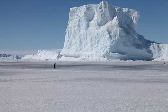 Why Emperor Penguins Could March To Extinction Why Emperor Penguins Could March To Extinction