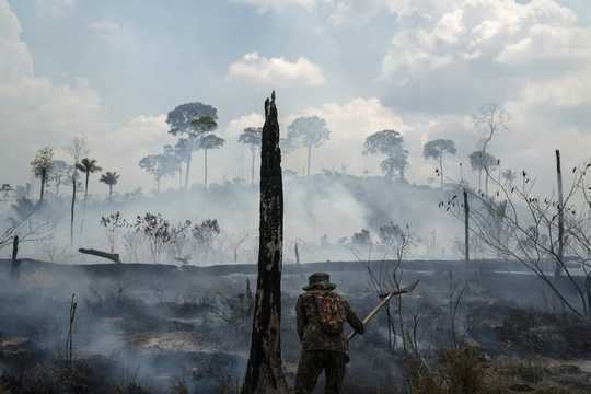 Dwindling Tropical Rainforests Mean Lost Medicines Yet To Be Discovered In Their Plants Dwindling Tropical Rainforests Mean Lost Medicines Yet To Be Discovered In Their Plants