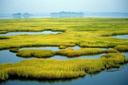As Communities Rebuild After Hurricanes, Wetlands Can Significantly Reduce Property Damage As Communities Rebuild After Hurricanes, Wetlands Can Significantly Reduce Property Damage