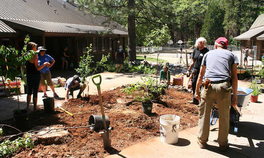 How Permaculture Is Helping Wildfire Survivors Recover How Permaculture Is Helping Wildfire Survivors Recover