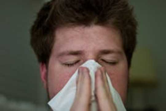 How Do We Get Allergic To Food? How Do We Get Allergic To Food?