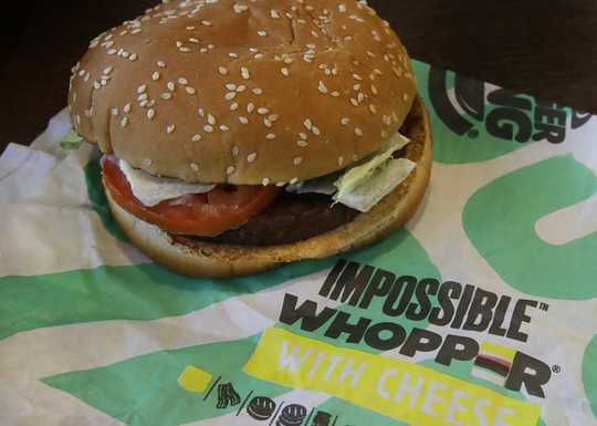 Why Americans Are Embracing Plant-based Meat Products Why Americans Are Embracing Plant-based Meat Products