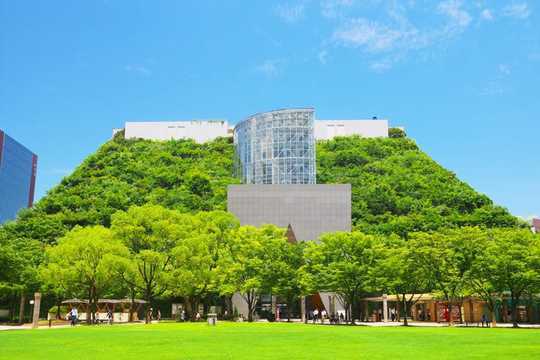 How Green Roofs Can Protect City Streets From Flooding How Green Roofs Can Protect City Streets From Flooding