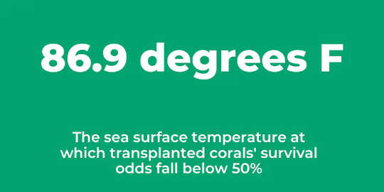 Ocean Warming Threatens Coral Reefs and Soon Could Make It Harder To Restore Them Ocean Warming Threatens Coral Reefs and Soon Could Make It Harder To Restore Them