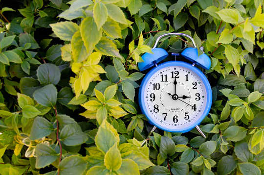 4 Energy-Saving Lessons From The First Lockdown Which May Help You Save Through The Winter 4 Energy-Saving Lessons From The First Lockdown Which May Help You Save Through The Winter