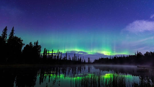 Horoscope Current Week: September 6 - 12, 2021 Aurora Borealis (Northern Lights) photo by Chris Moss on August 30, 2021, Trapper Creek, Alaska, USA