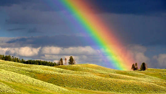 Give Yourself Time, Be Kind, and Heal in Your Own Way rainbow over a field