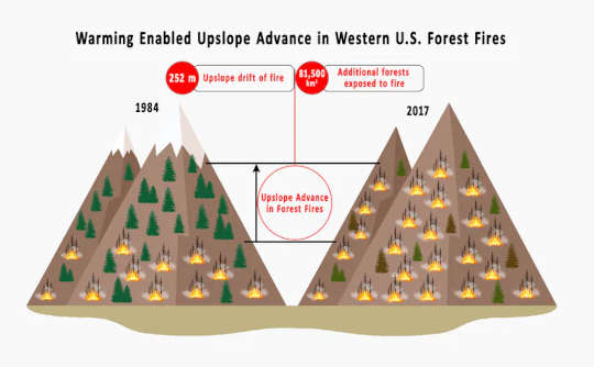 Why Fires Burning Higher In The Mountains Are A Clear Sign Of Climate Change