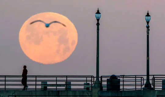 This Supermoon Has A Twist – Expect Flooding, But A Lunar Cycle Is Masking Effects Of Sea Level Rise This Supermoon Has A Twist – Expect Flooding, But A Lunar Cycle Is Masking Effects Of Sea Level Rise