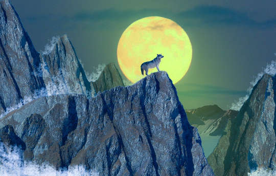Today's Inspiration: November 4, 2022 a wolf standing on top of a mountain in front of a full moon
