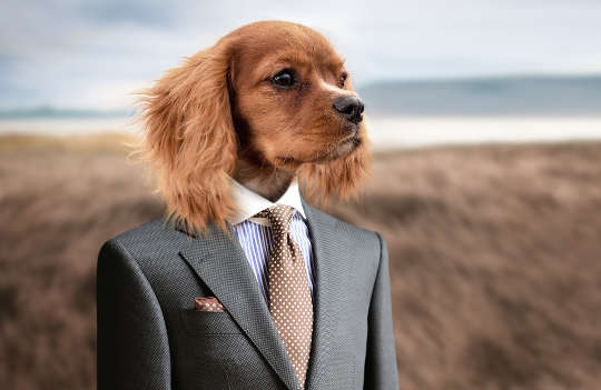 Today's Inspiration: November 12, 2022 a dog standing up like a human and wearing a business suit