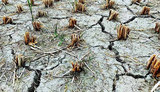 Is It Time To Change The Definition Of Drought To Normal? drought is new normal 3 17