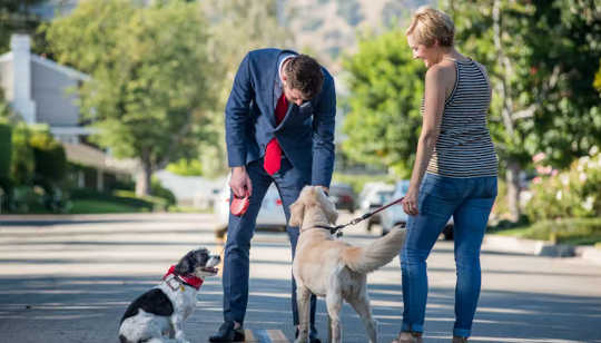 How Pets Builds Trust Among People