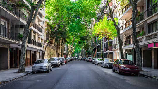 Where You Live Affects Your Dementia Risk risk factors dementia 4 2