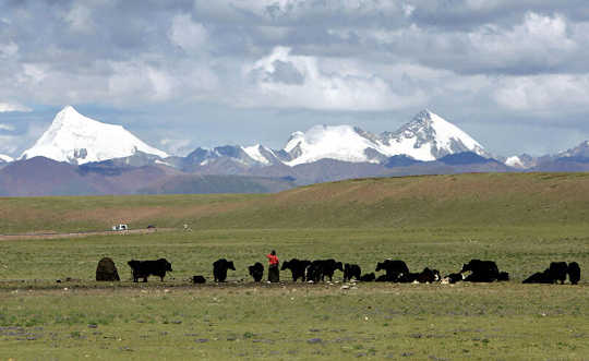 Ancient Sludge Under Permafrost Indicates Earth’s Future tibeatian permafrost 3 28
