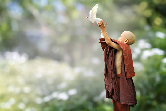 Letting Go and Taking Forgiveness to the Next Level a young Buddhist monk releasing a white dove to the skies