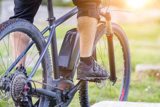 Should You Buy an Electric Bike? Key Factors to Consider Electric Bike