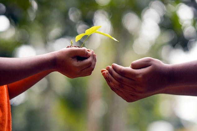 Giving Back: A Very Ancient Path a pair of hands offering the gift of a plant to another set of hands