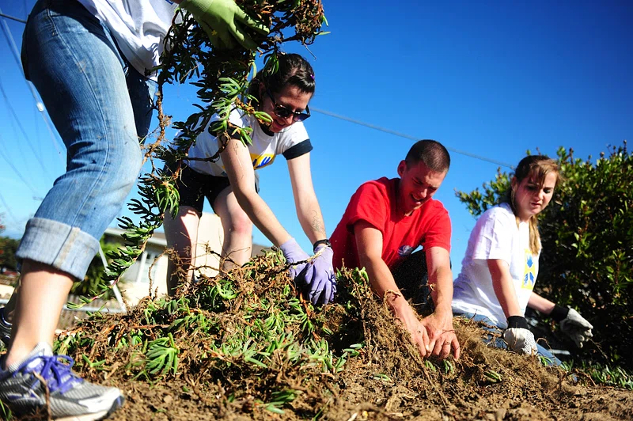 Growing Community Prepares Us for the Future people working in a graden
