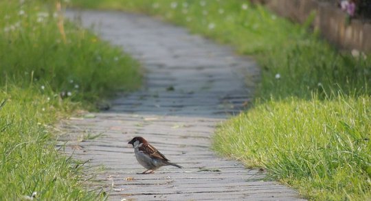 path to bliss 3 15