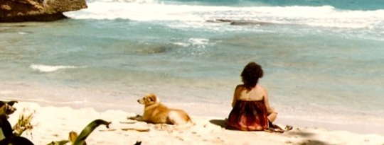 Dogs Know Heart: Recognizing Authentic Love Dogs Know Heart: Recognizing Authentic Love