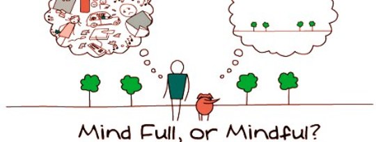 Pursuit of Wisdom Through Mindfulness Pursuit of Wisdom Through Mindfulness