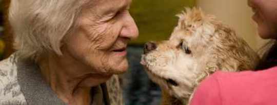 How The Healing Journey Began: Me & My Therapy Dog How The Healing Journey Began: Me & My Therapy Dog
