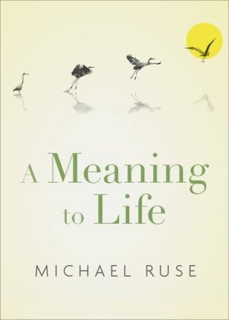 Meaning to Life