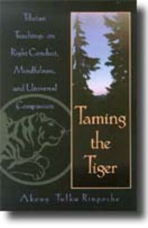 Taming the tiger