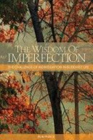 Wisdom of Imperfection