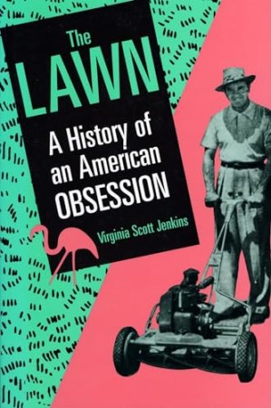 The lawn
