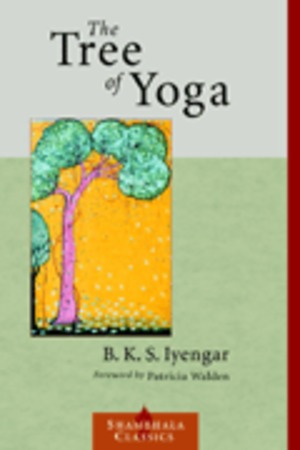 The tree of yoga
