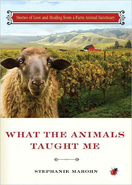 What the animals taught me