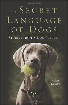 The secret language of dogs