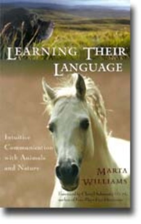 Learning their language