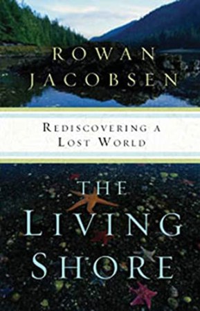 The living shore