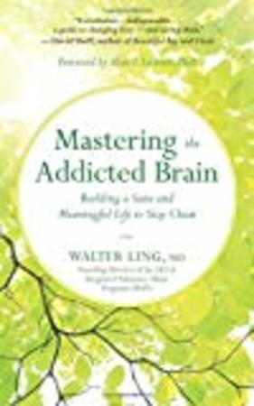 Mastering the Addicted Brain