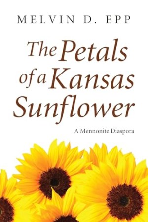 Petals of a Kansas Sunflower
