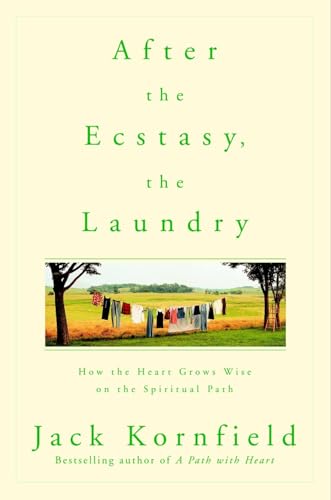 After the Ecstasy, the Laundry
