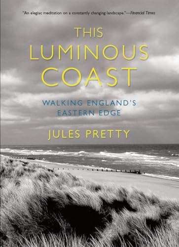This luminous coast
